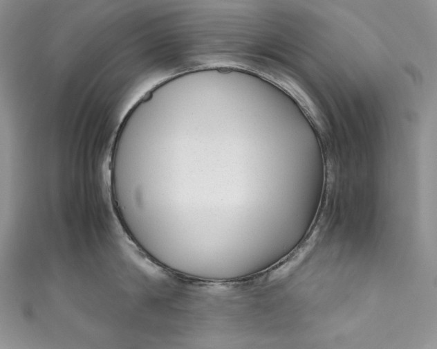 X0000111010814200907060954