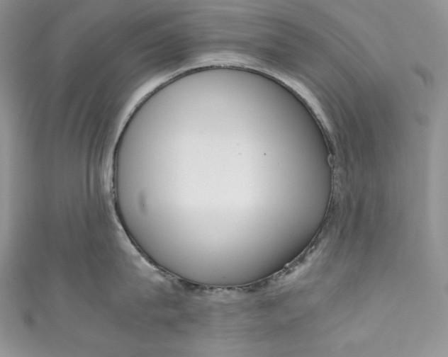 X0000111010815200907060954