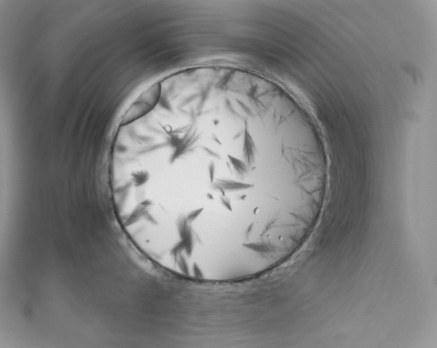 X0000111010816200907060954