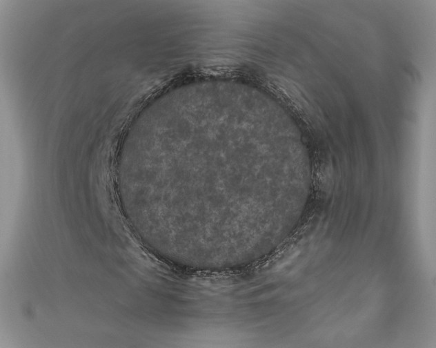 X0000111010817200907060953