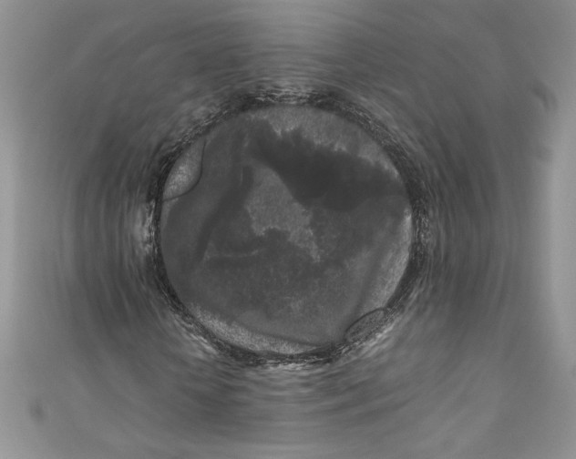 X0000111010818200907060953