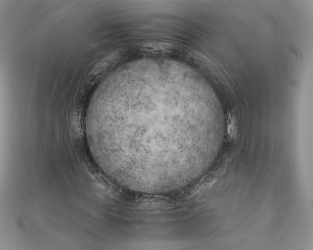 X0000111010819200907060953