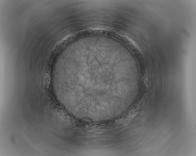 X0000111010821200907060953