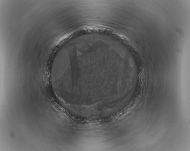 X0000111010822200907060953