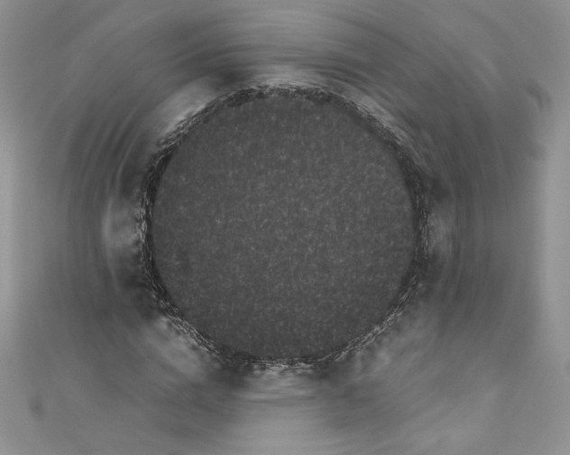 X0000111010824200907060953