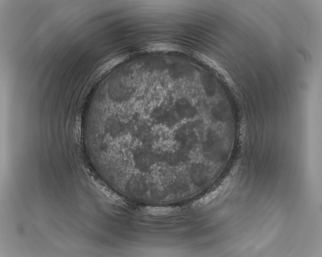 X0000111010825200907060953