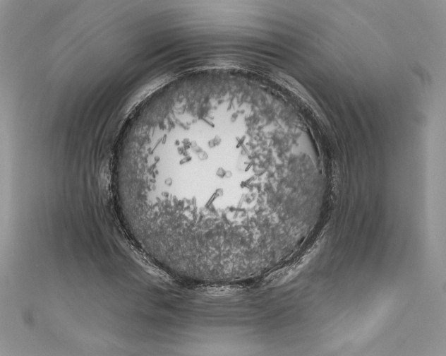 X0000111010826200907060953
