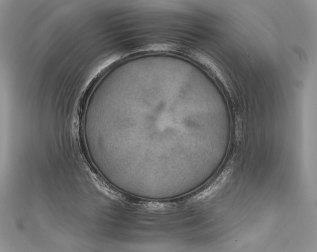 X0000111010827200907060953