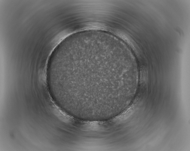 X0000111010828200907060953