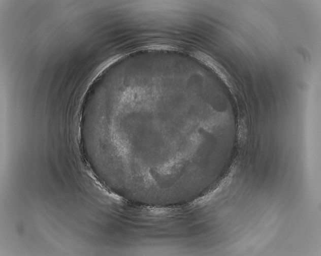 X0000111010829200907060953