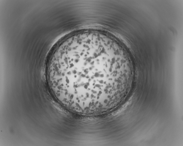 X0000111010830200907060953