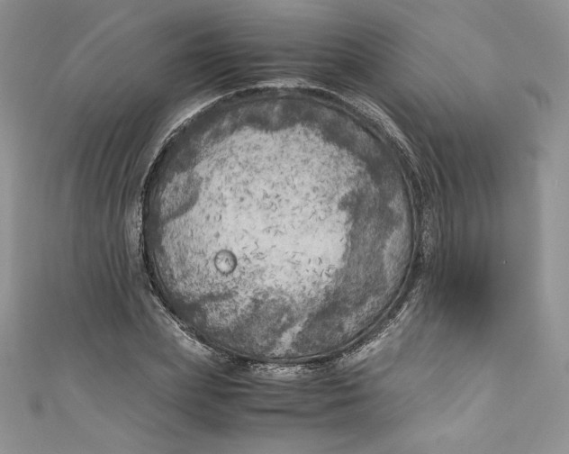 X0000111010831200907060953
