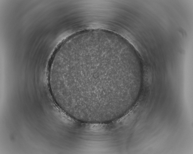 X0000111010832200907060953