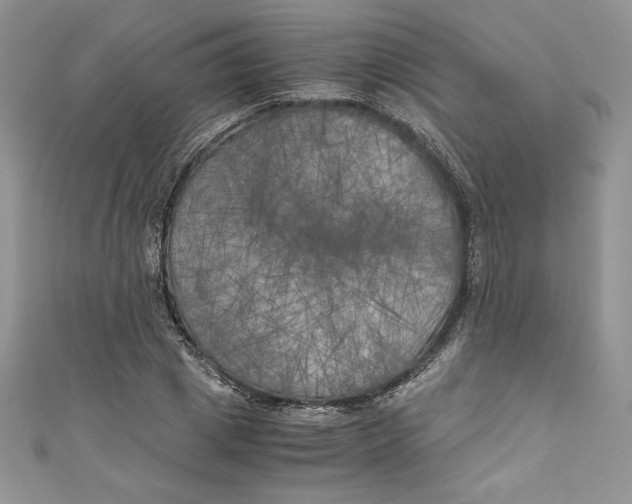 X0000111010833200907060953
