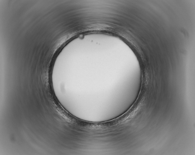 X0000111010834200907060954