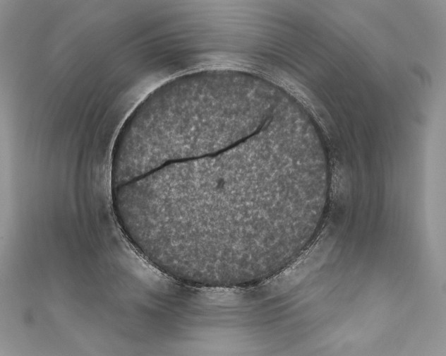 X0000111010836200907060954