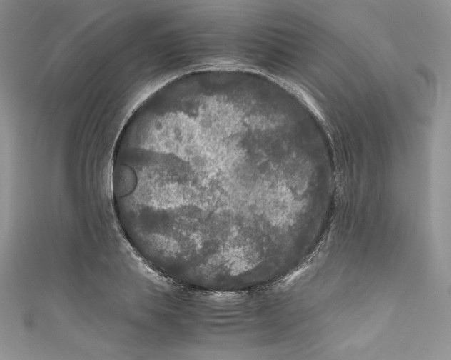 X0000111010839200907060954