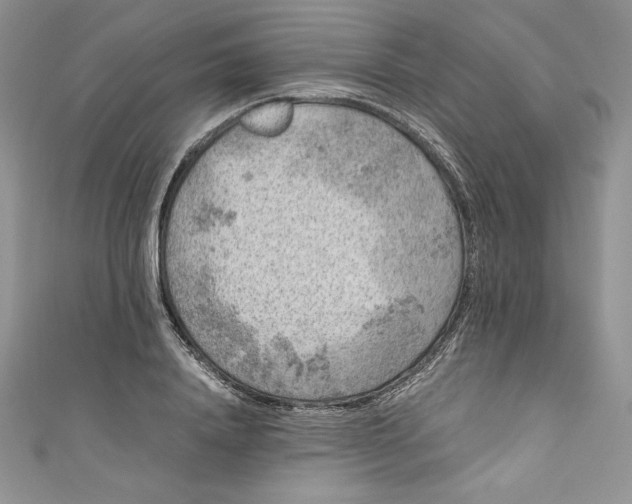 X0000111010840200907060954