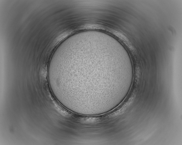 X0000111010841200907060954