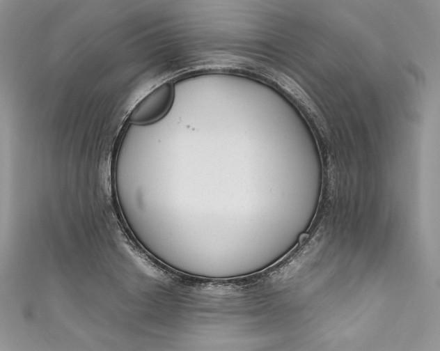 X0000111010842200907060954