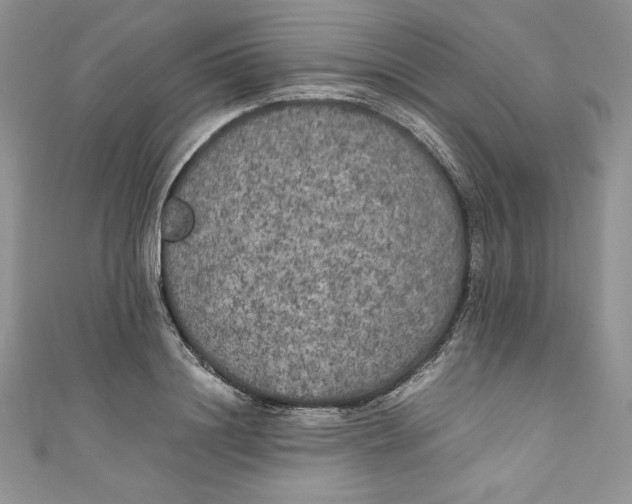 X0000111010844200907060954