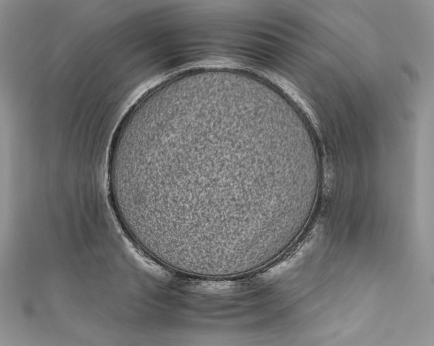 X0000111010845200907060954