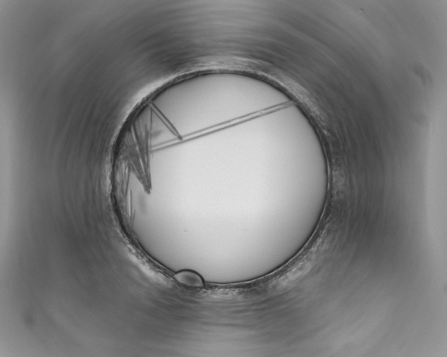 X0000111010846200907060954