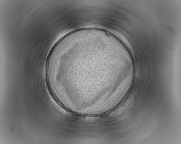 X0000111010847200907060954