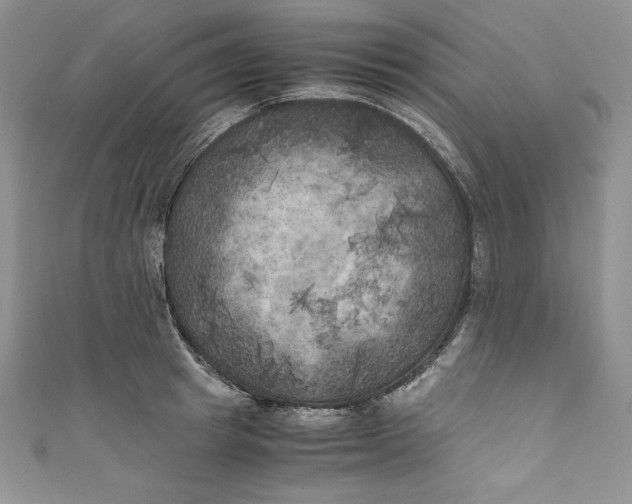 X0000111010849200907060954