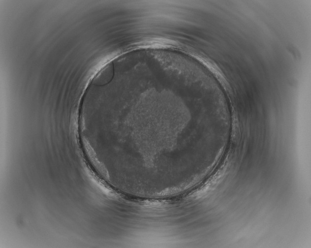 X0000111010850200907060954
