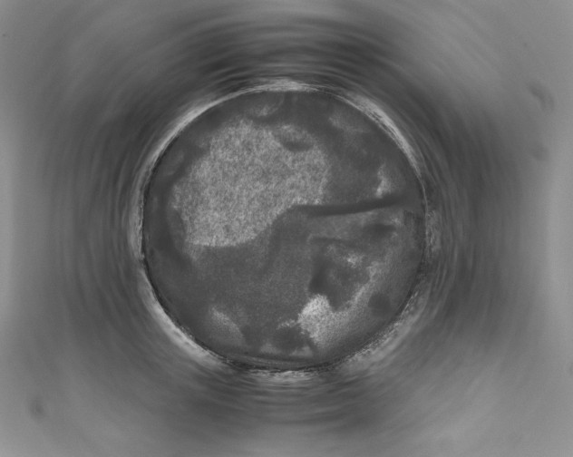 X0000111010851200907060954