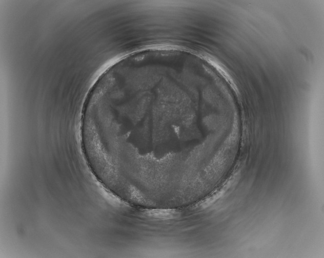 X0000111010853200907060954