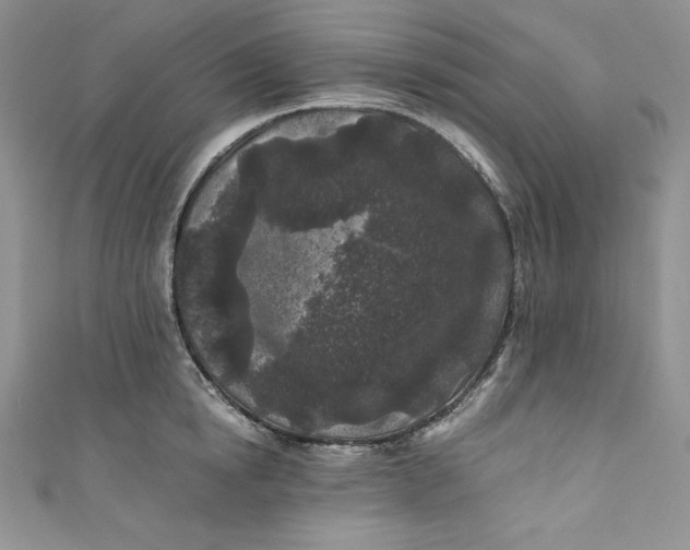 X0000111010854200907060954