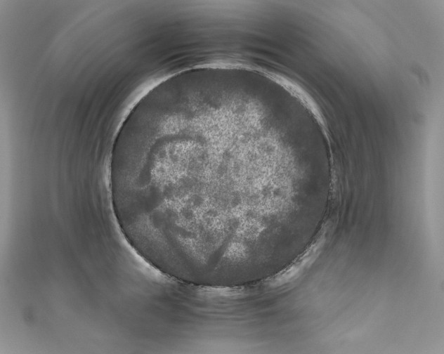X0000111010855200907060954