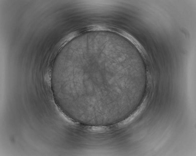 X0000111010857200907060954