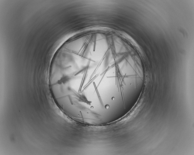 X0000111010860200907060954