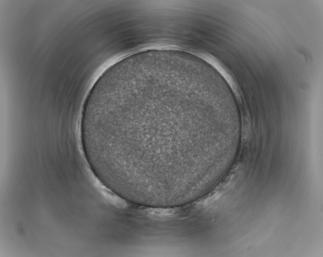 X0000111010861200907060954