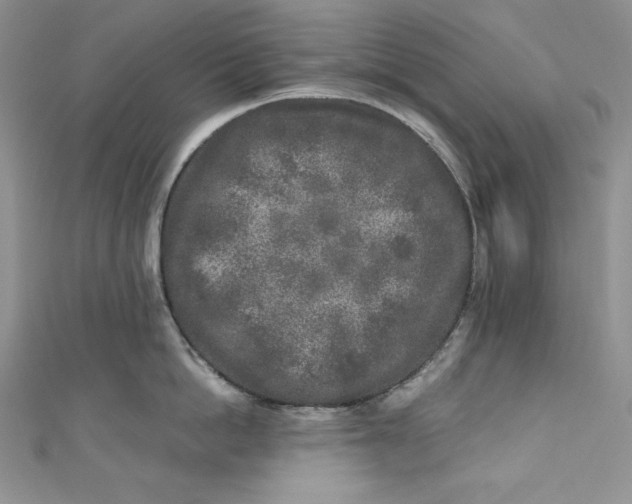 X0000111010862200907060954