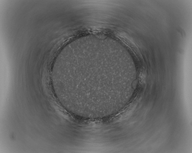 X0000111010865200907060953