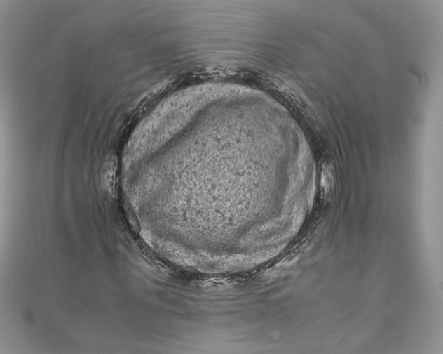 X0000111010867200907060953