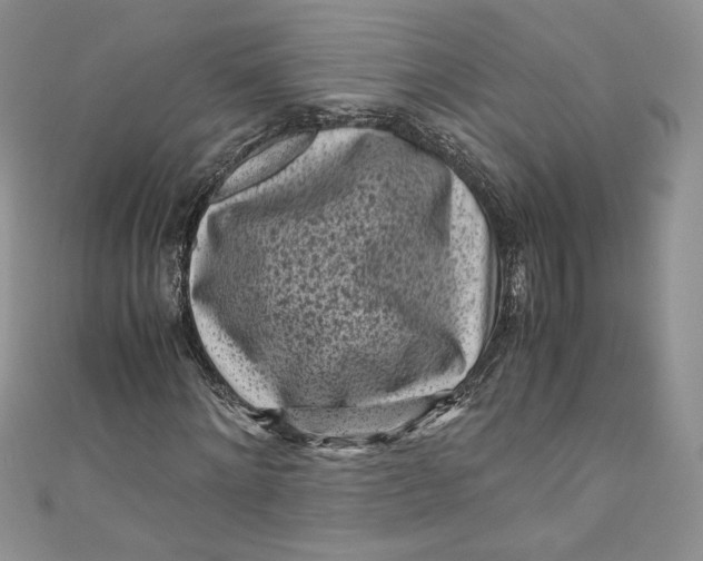 X0000111010868200907060953
