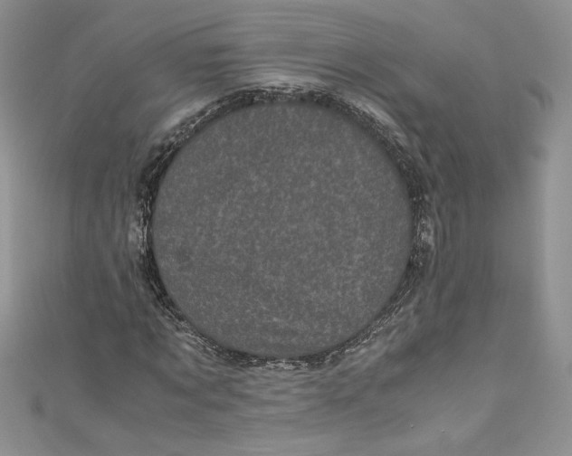 X0000111010869200907060953