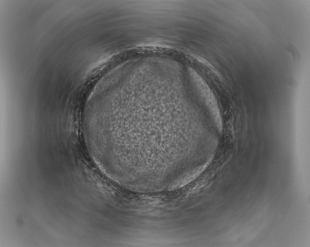 X0000111010870200907060953