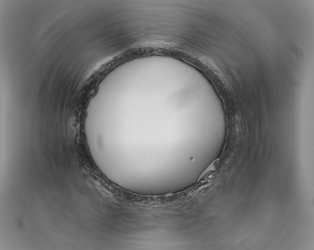 X0000111010872200907060953