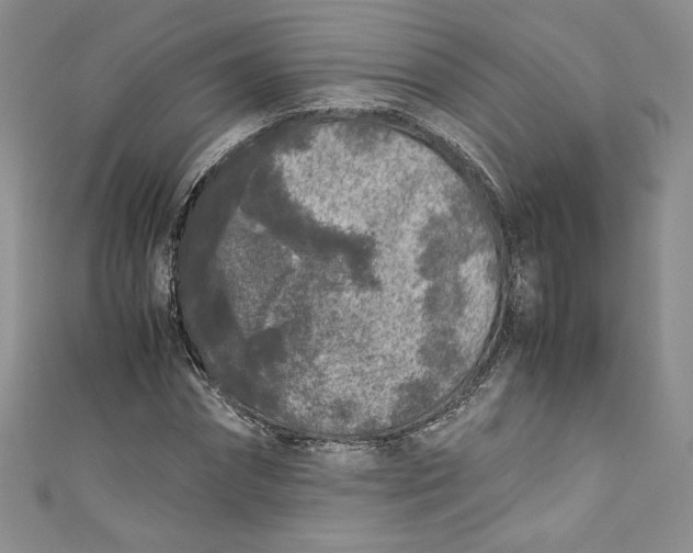 X0000111010874200907060953