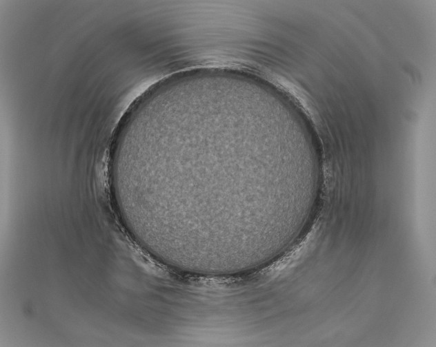 X0000111010875200907060953