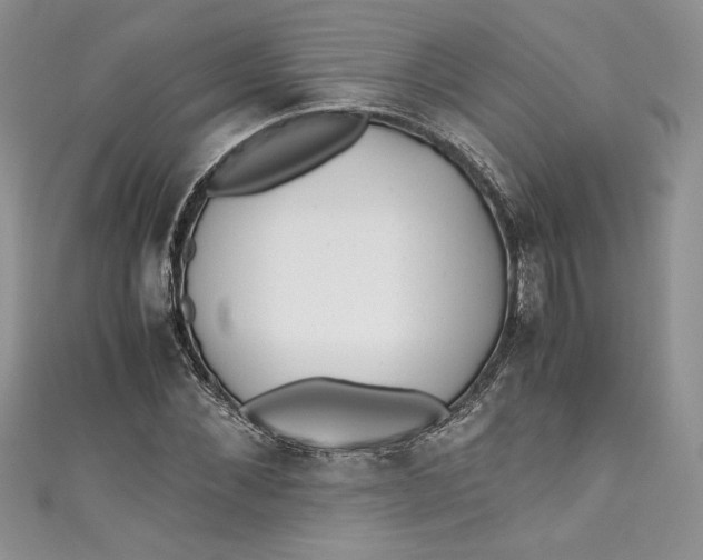 X0000111010876200907060953