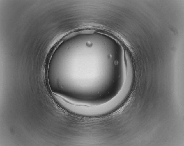 X0000111010877200907060953