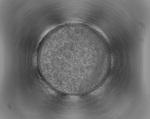 X0000111010878200907060953