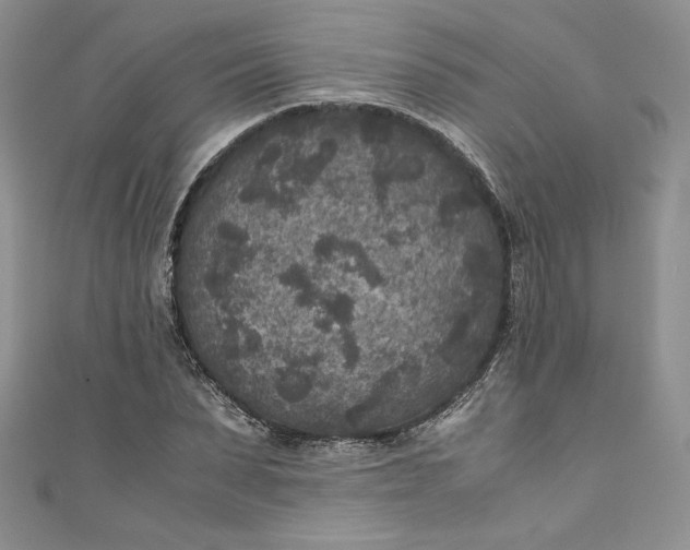 X0000111010879200907060953